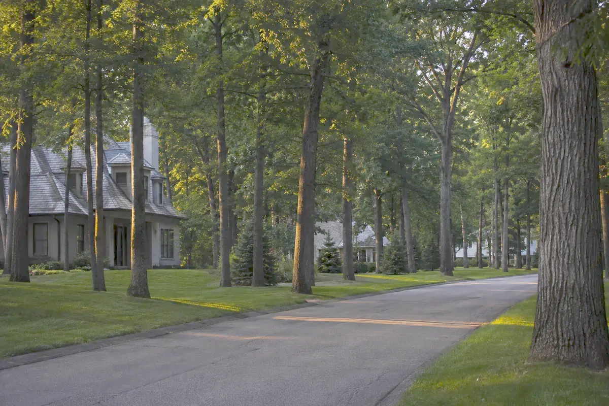 Illustration of Mequon: homes and lawns along a quiet, tree-lined road.
